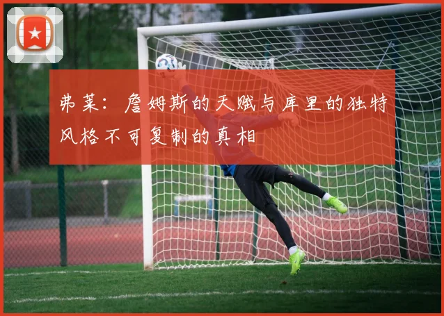 弗莱：詹姆斯的天赋与库里的独特风格不可复制的真相